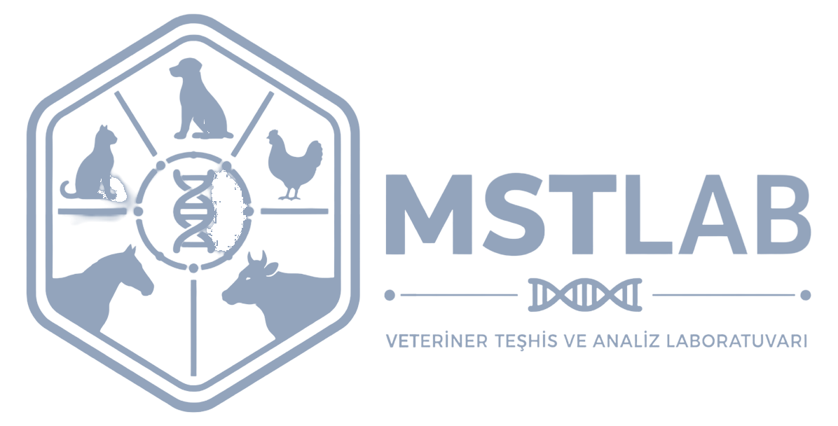 MstLabs